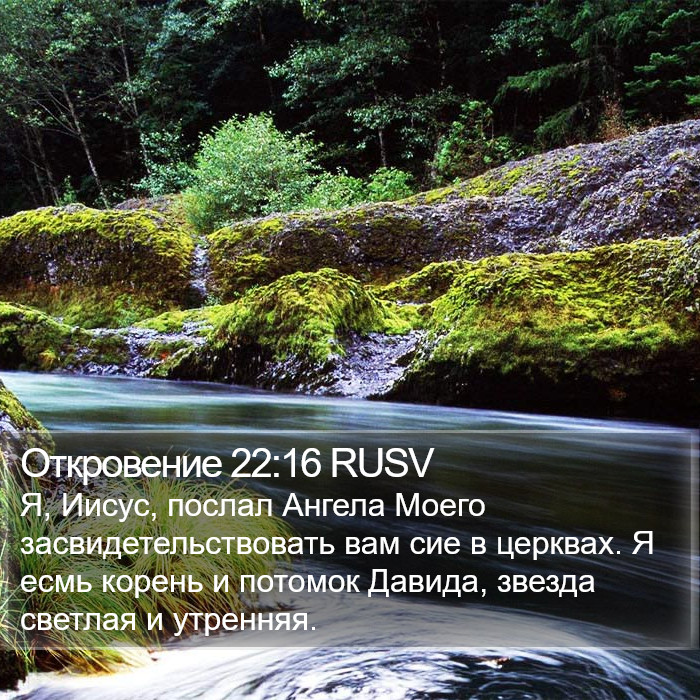 Откровение 22:16 RUSV Bible Study